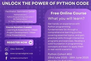 python python